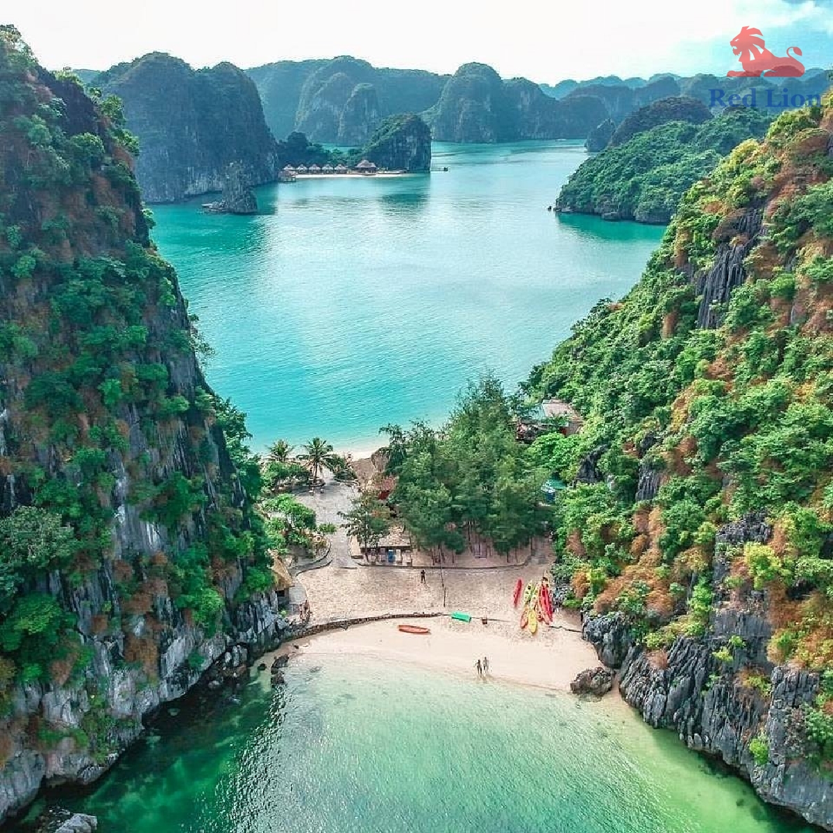 travel-cat-ba-island-travel-to-cat-ba-island-vietnam-red-lion-001-20240530blue-swimmer-ventures