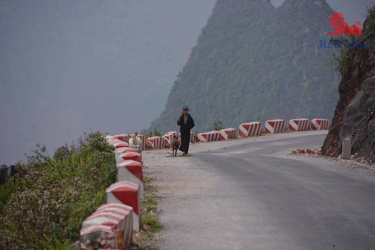 travel-ha-giang-travel-to-ha-giang-vietnam-red-lion-054-20240530-225943