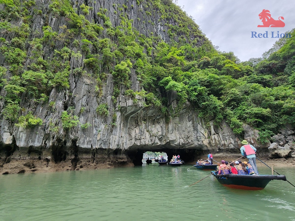 travel-ha-long-bay-travel-to-ha-long-bay-vietnam-luon-cave-red-lion-001-20240530-224108hang-luon-cave (1)