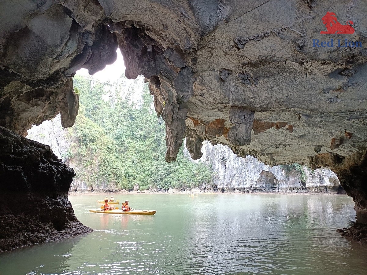 travel-ha-long-bay-travel-to-ha-long-bay-vietnam-luon-cave-red-lion-001-20240530-224108nh-ng-ngu-i-khach-cheo