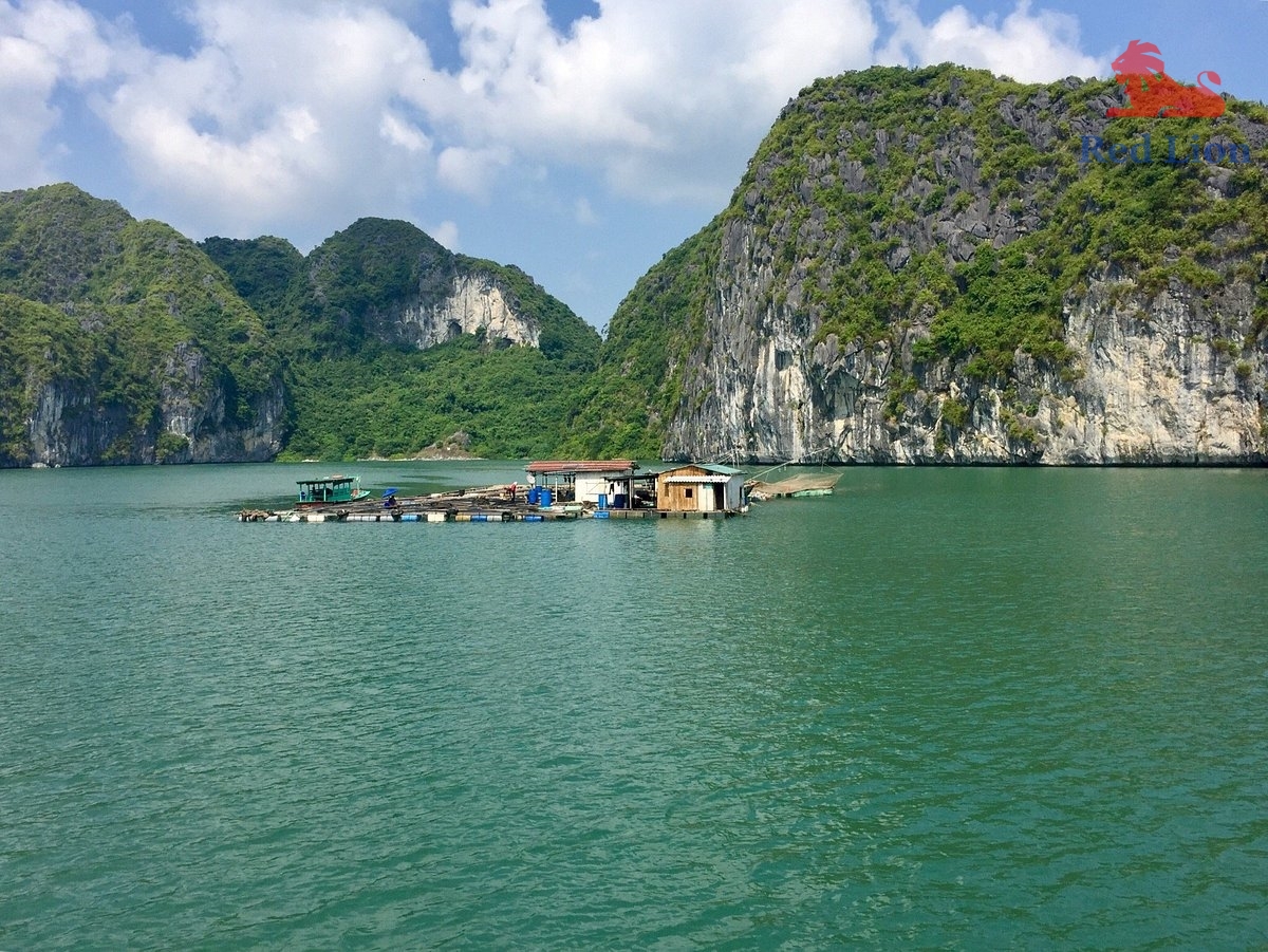 travel-ha-long-bay-travel-to-ha-long-bay-vietnam-red-lion-001-20240530-223923halong-bay (5)