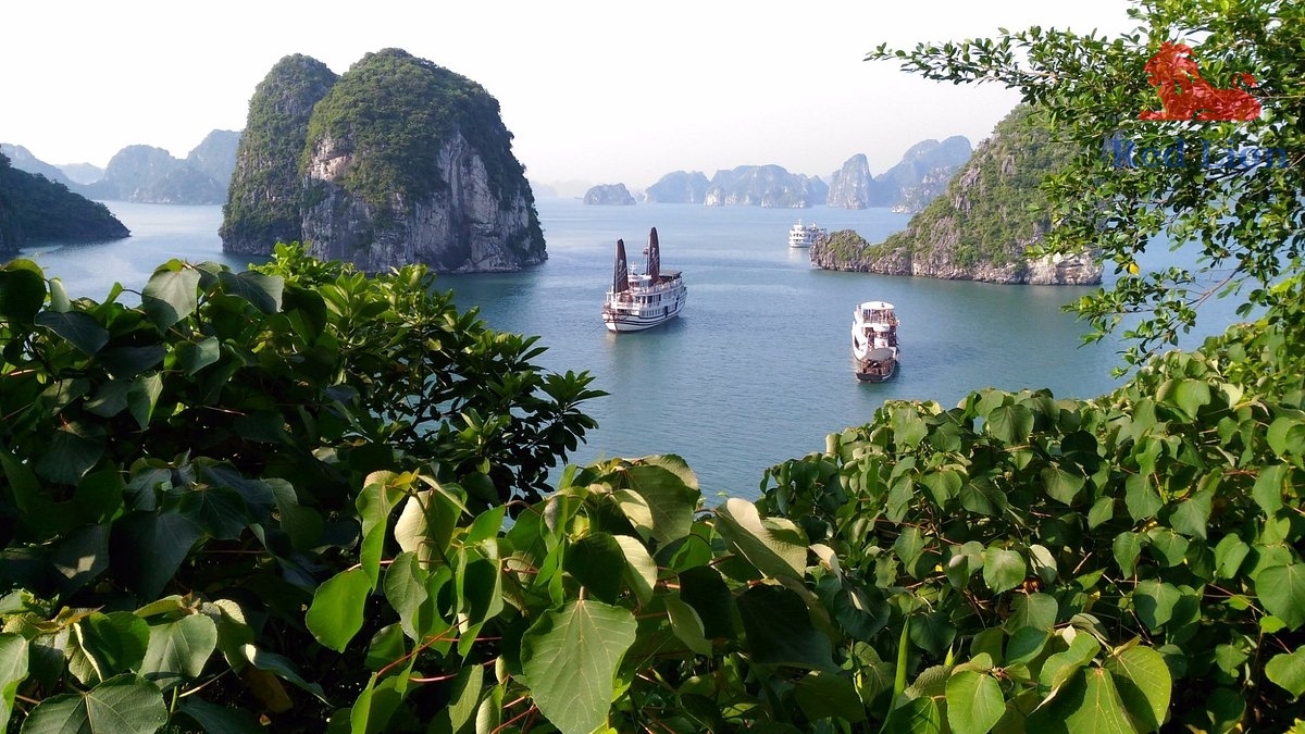 travel-ha-long-bay-travel-to-ha-long-bay-vietnam-red-lion-001-20240530-223923halong-bay-du-haut-d