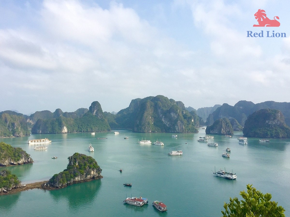 travel-ha-long-bay-travel-to-ha-long-bay-vietnam-red-lion-001-20240530-223923photo0jpg (2)
