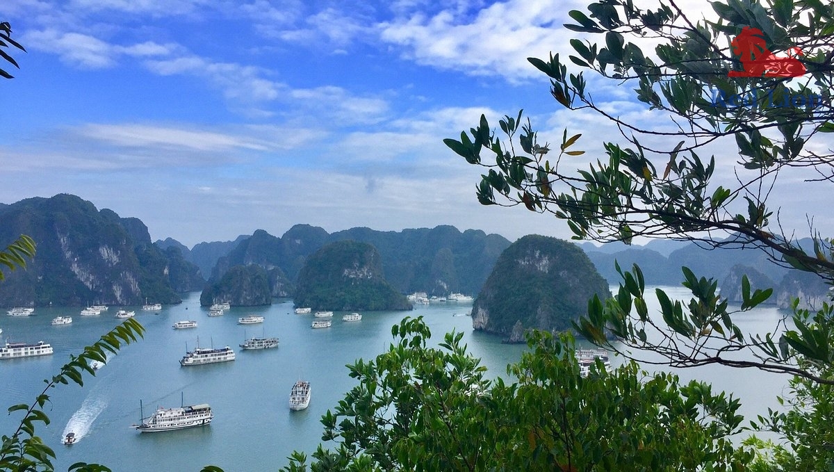 travel-ha-long-bay-travel-to-ha-long-bay-vietnam-red-lion-001-20240530-223923photo3jpg