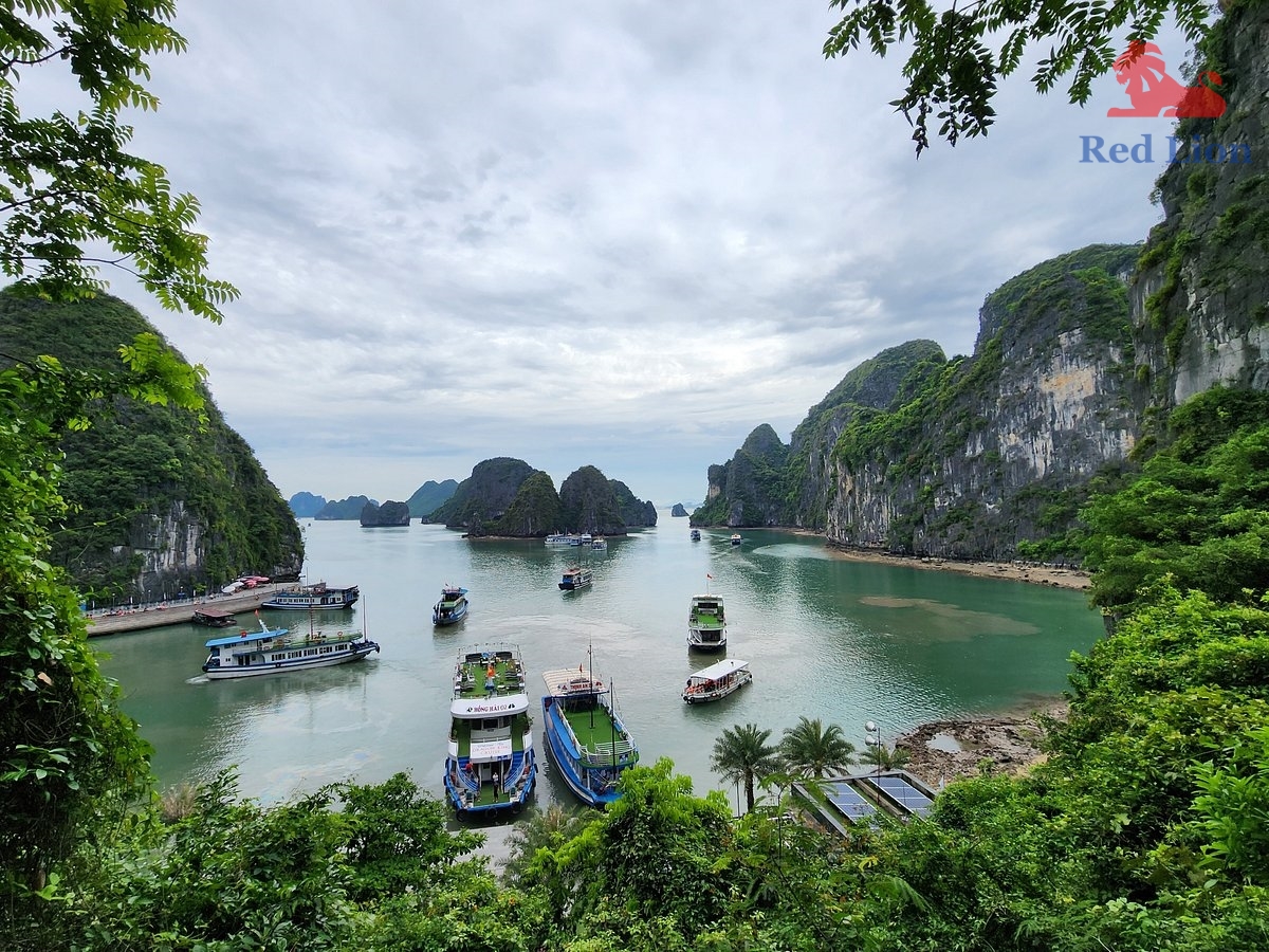 travel-ha-long-bay-travel-to-ha-long-bay-vietnam-sung-sot-cave-surprise-cave-red-lion-001-20240530-224354sung-sot-cave (4)