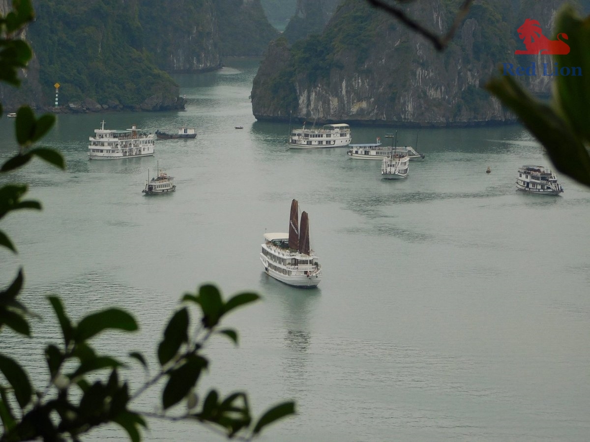 travel-ha-long-bay-travel-to-ha-long-bay-vietnam-titop-island-red-lion-001-20240530-224501caption (1)