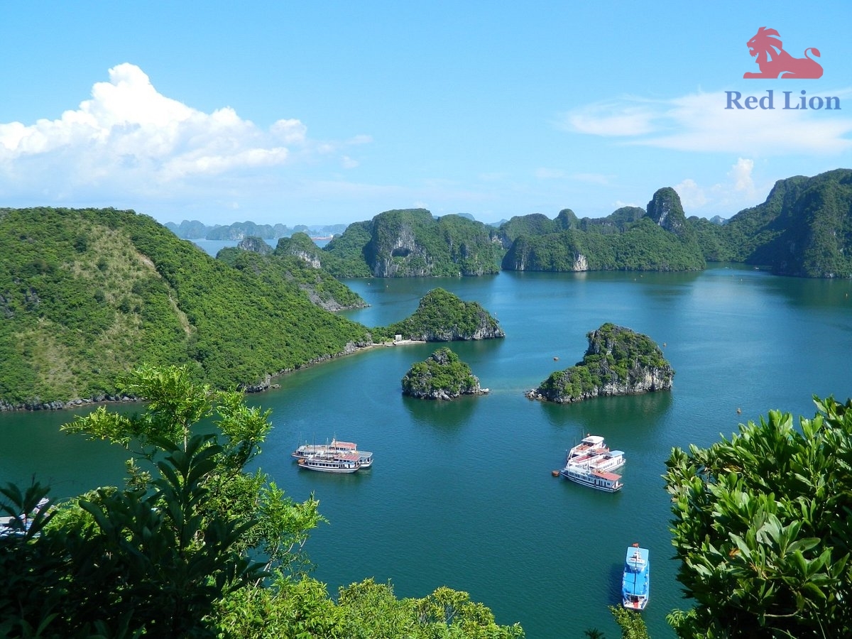 travel-ha-long-bay-travel-to-ha-long-bay-vietnam-titop-island-red-lion-001-20240530-224501from-view-point