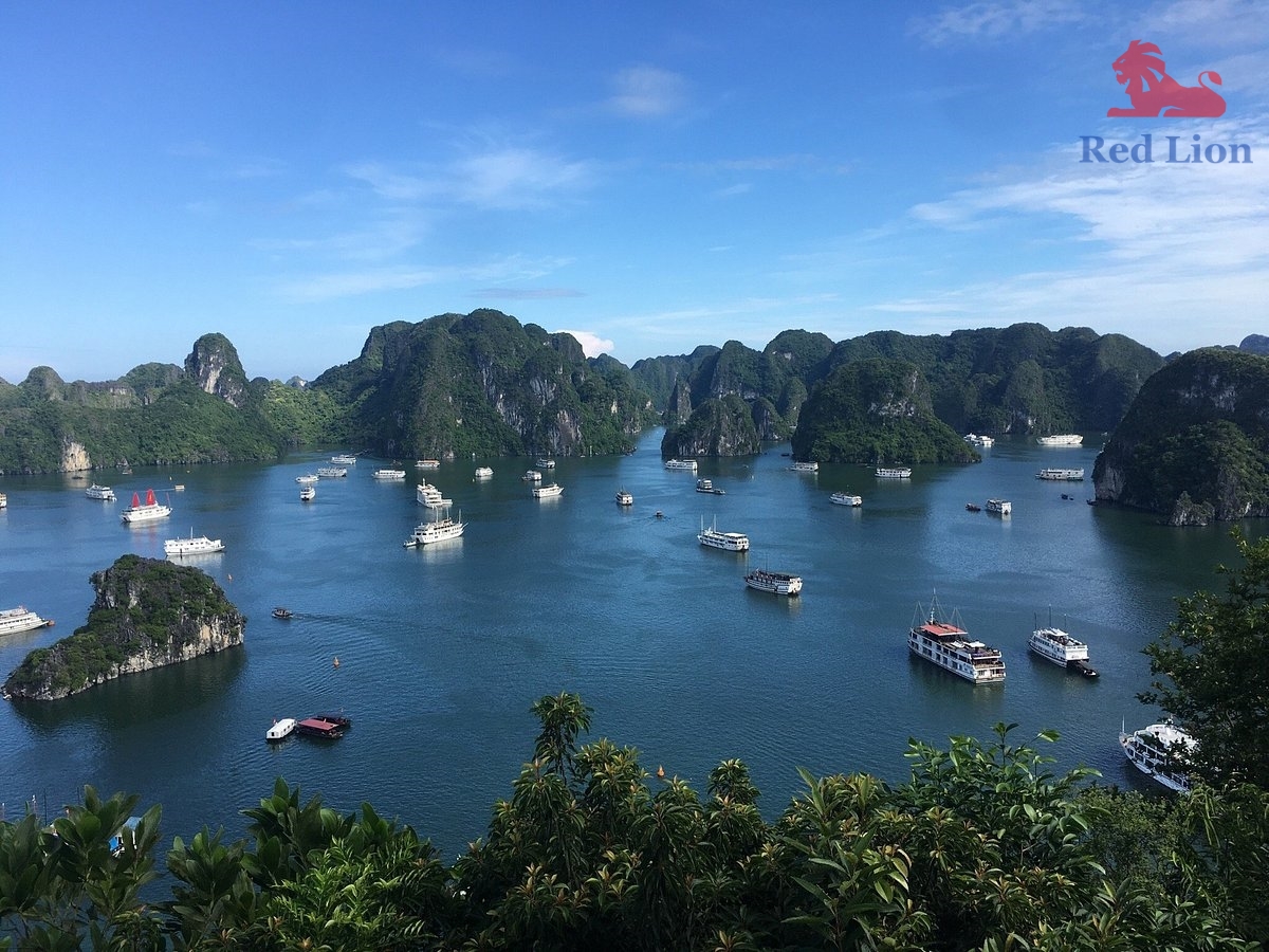 travel-ha-long-bay-travel-to-ha-long-bay-vietnam-titop-island-red-lion-001-20240530-224501photo0jpg