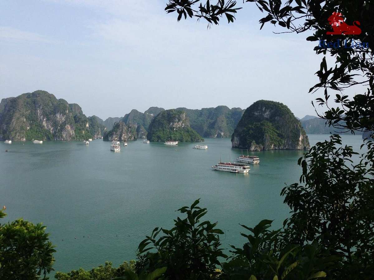 travel-ha-long-bay-travel-to-ha-long-bay-vietnam-titop-island-red-lion-001-20240530-224501ti-top-island (5)