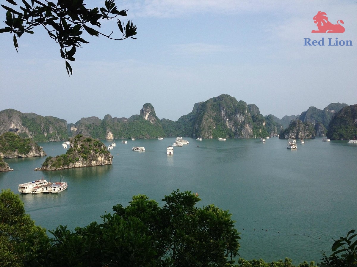 travel-ha-long-bay-travel-to-ha-long-bay-vietnam-titop-island-red-lion-001-20240530-224501ti-top-island (6)