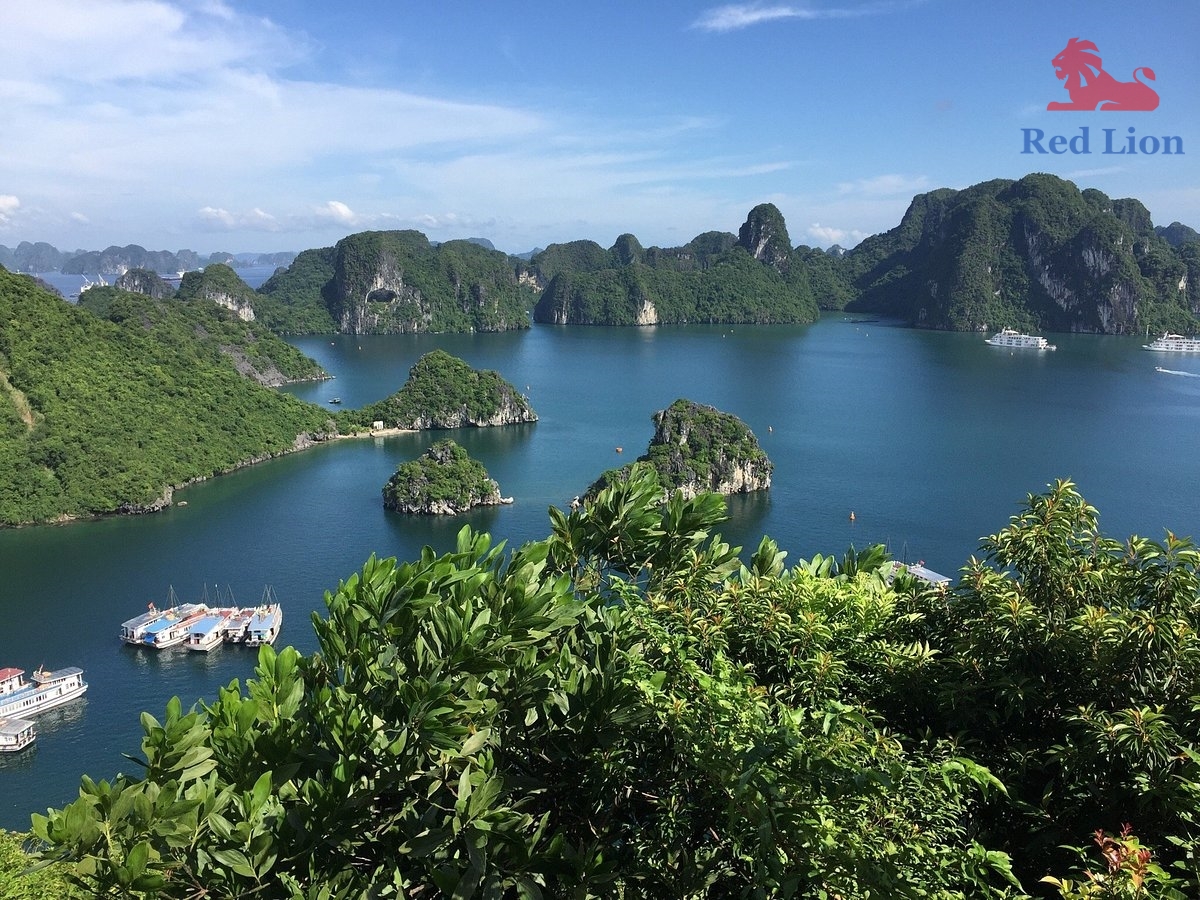travel-ha-long-bay-travel-to-ha-long-bay-vietnam-titop-island-red-lion-001-20240530-224501ti-top-island