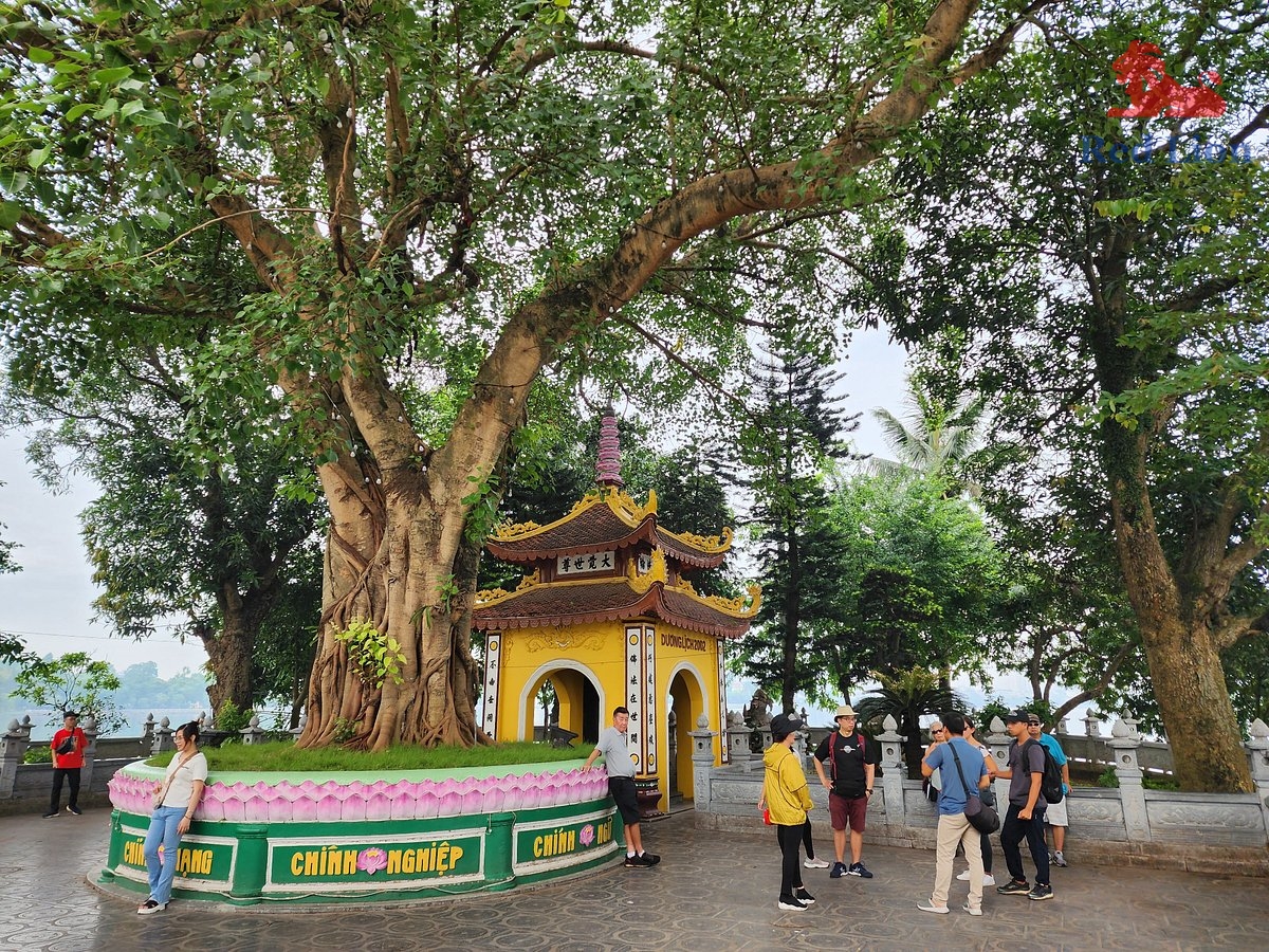 travel-ha-noi-travel-to-ha-noi-vietnam-tran-quoc-pagoda-red-lion-001-20240530-225012