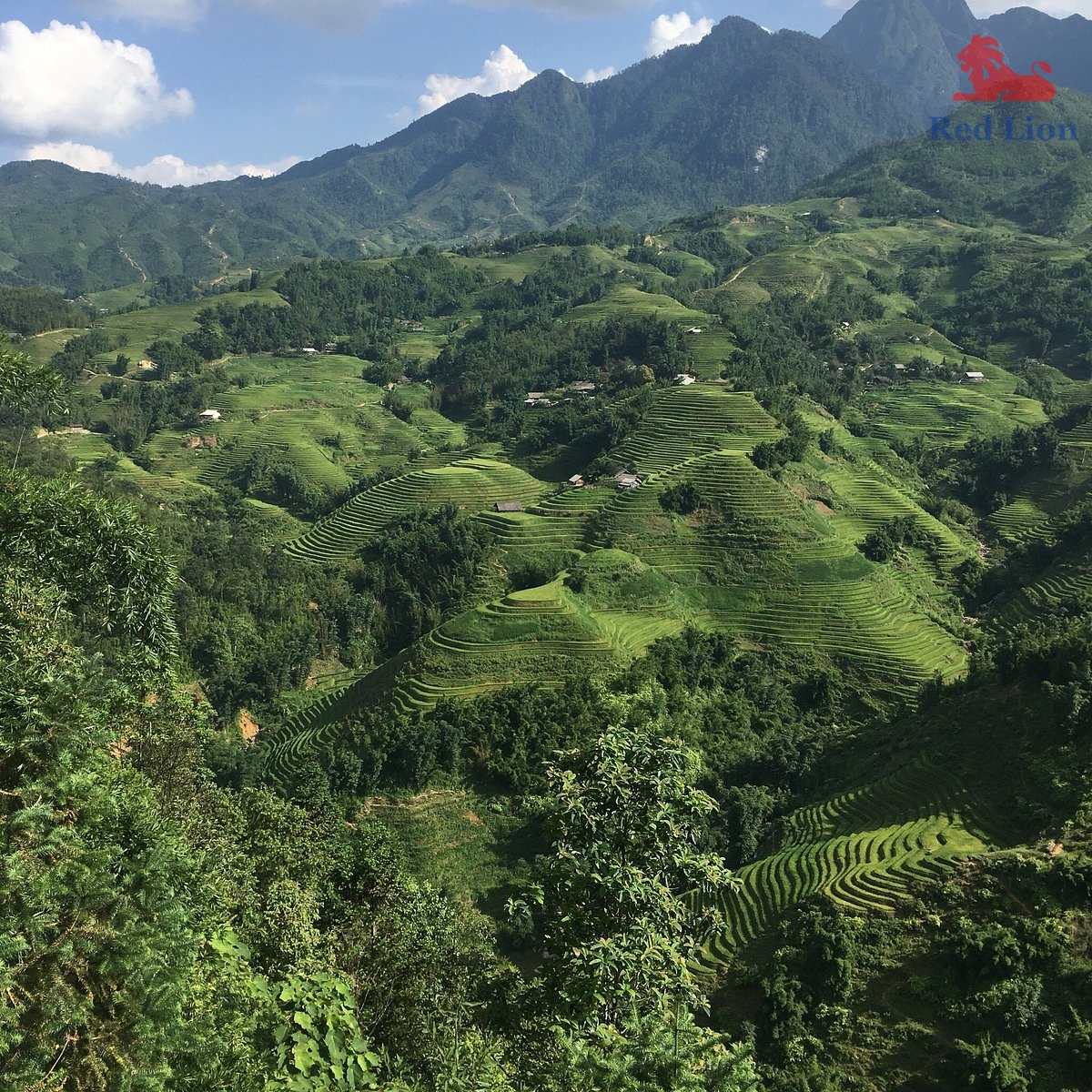 travel-sapa-travel-to-sapa-vietnam-red-lion-002-20240530-230839