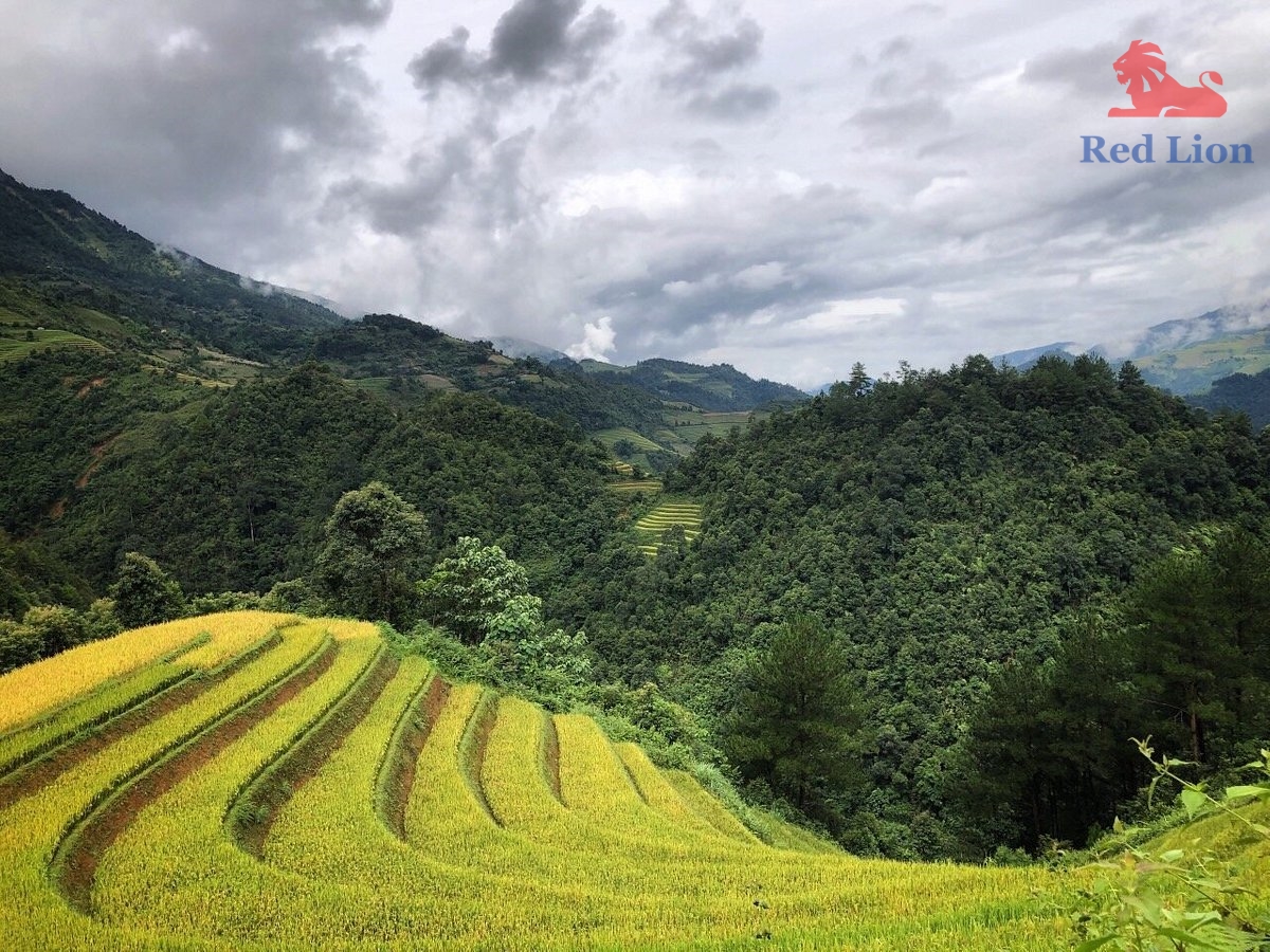 travel-sapa-travel-to-sapa-vietnam-red-lion-032-20240530-230840