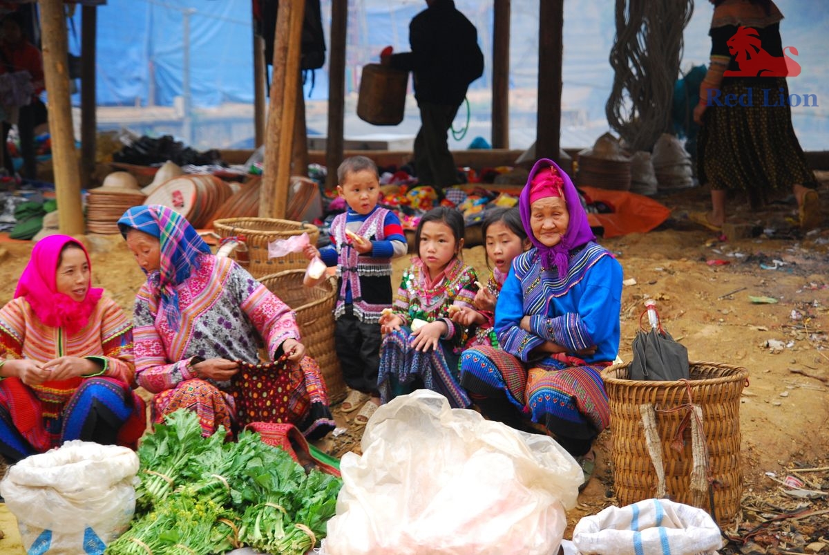 travel-sapa-travel-to-sapa-vietnam-red-lion-050-20240530-230840
