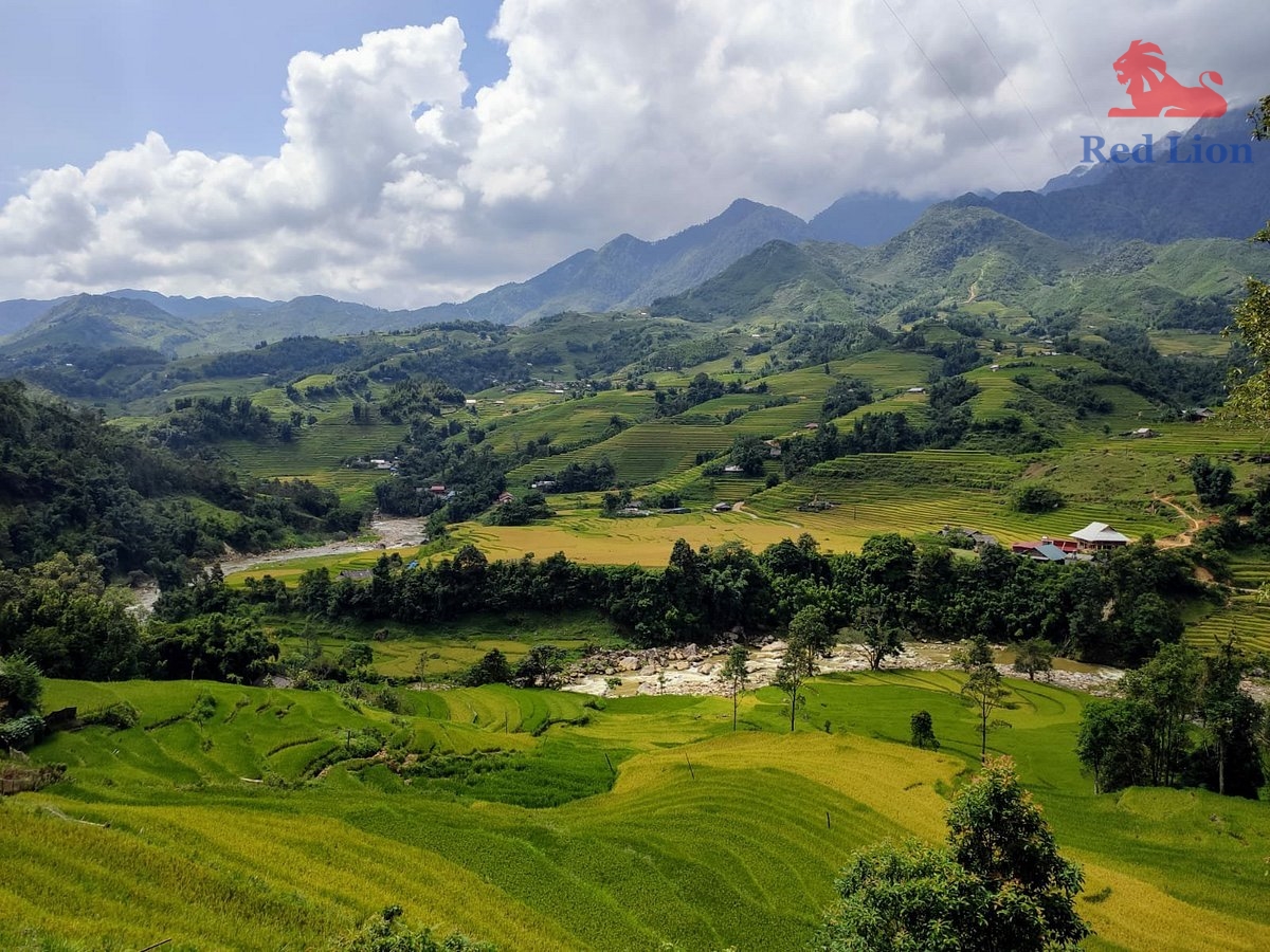 travel-sapa-travel-to-sapa-vietnam-red-lion-070-20240530-230841