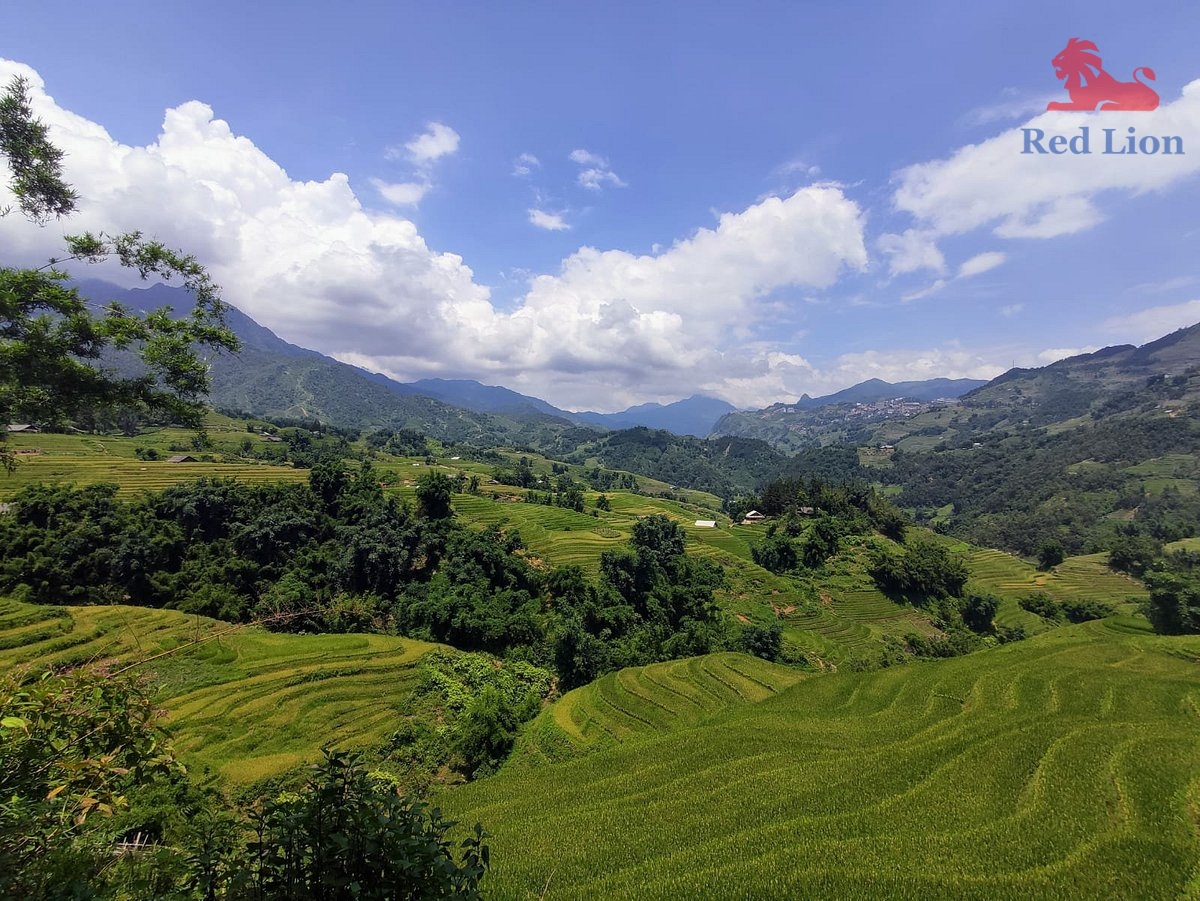 travel-sapa-travel-to-sapa-vietnam-red-lion-071-20240530-230841