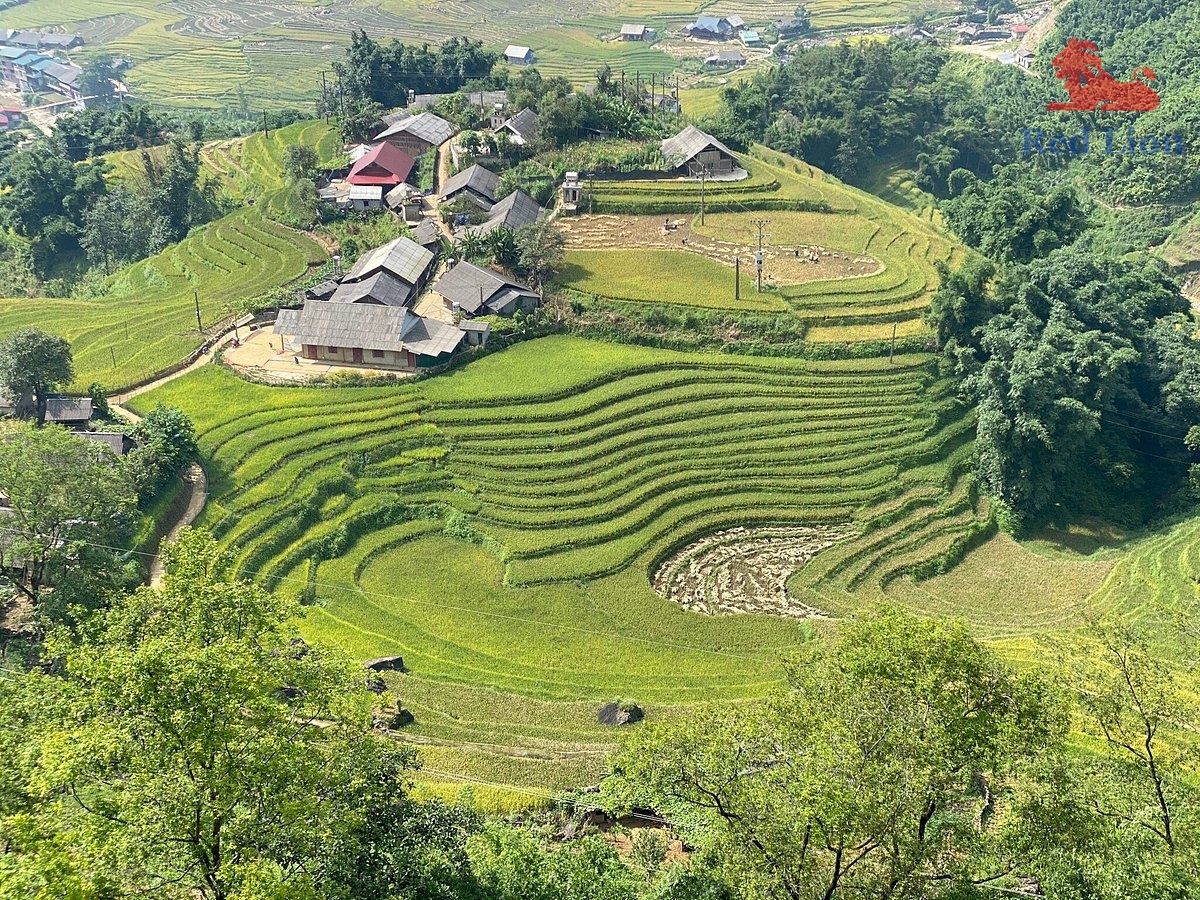 travel-sapa-travel-to-sapa-vietnam-red-lion-084-20240530-230842