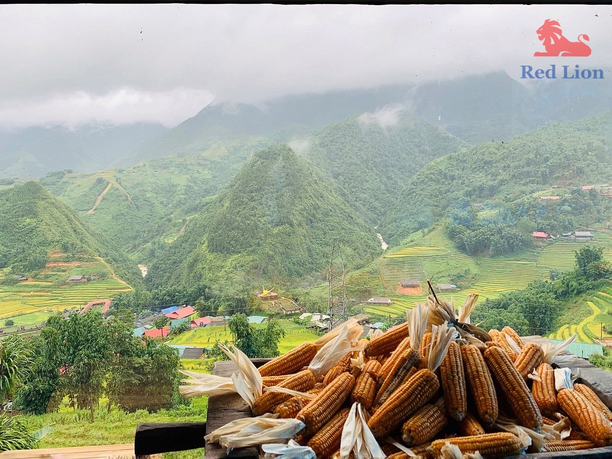 travel-sapa-travel-to-sapa-vietnam-red-lion-087-20240530-230842