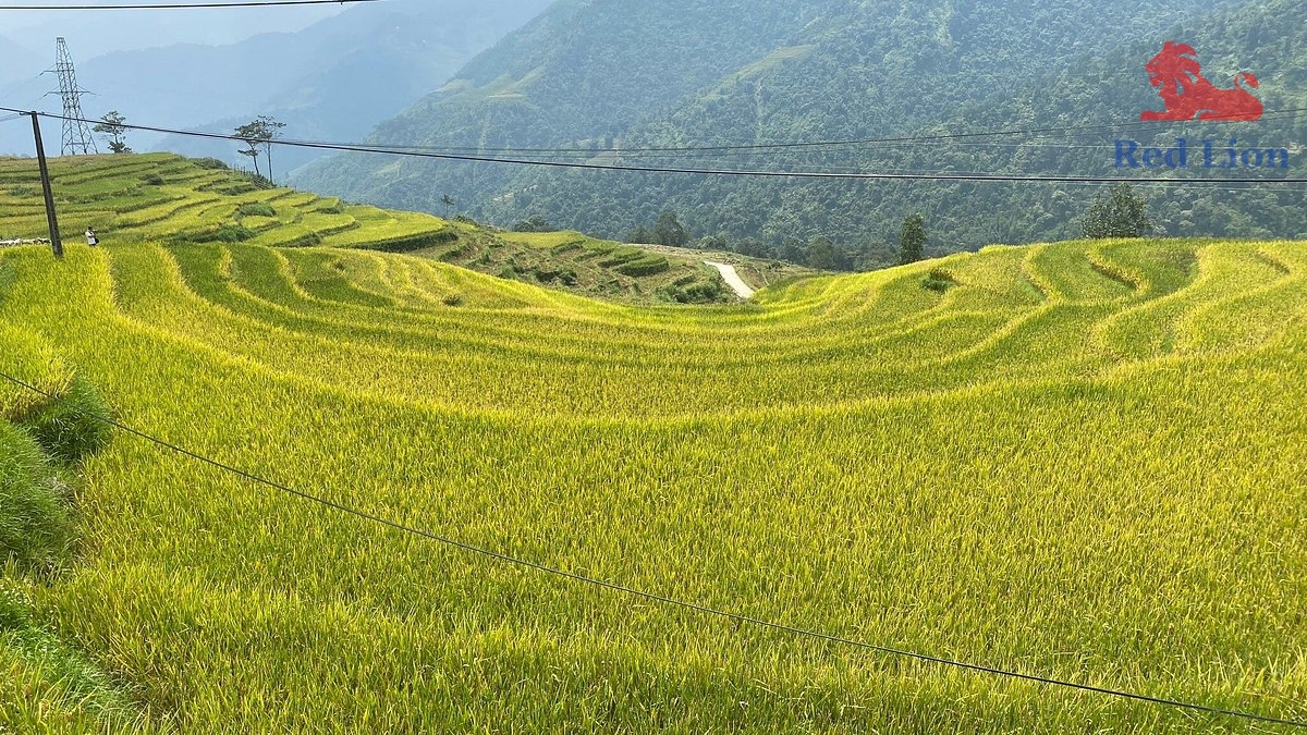 travel-sapa-travel-to-sapa-vietnam-red-lion-091-20240530-230842
