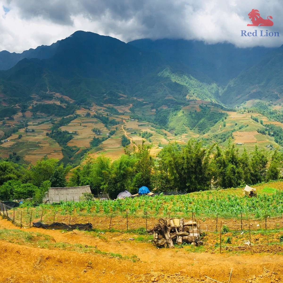 travel-sapa-travel-to-sapa-vietnam-red-lion-105-20240530-230842